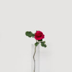 Local Roses