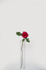 Local Roses