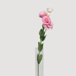 Lisianthus