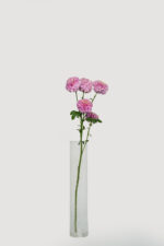 Chrysanthemums